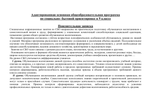 Программа СБО 9 класс: социальная адаптация