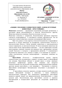 Биология 7 класс: Общие сведения о животном мире