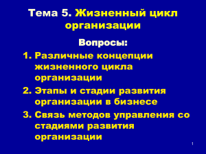 Жизненный цикл организации: этапы и управление