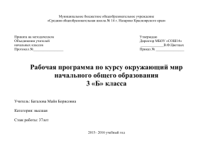 Рабочая программа Окружающий мир 3 класс