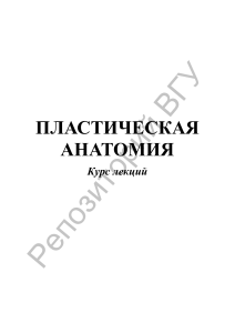 Пластическая анатомия: Курс лекций