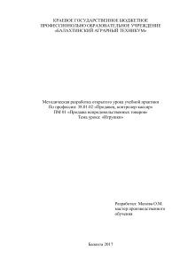 Методическая разработка урока: Игрушки