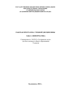 Информатика. Сестринское дело. Рабочая программа