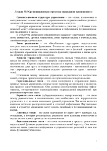 Организационная структура управления предприятием: Лекция