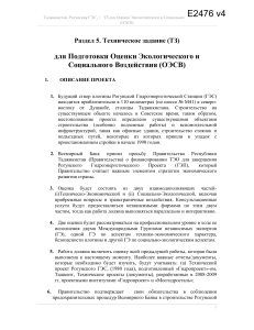 ОЭСВ Рогунской ГЭС: Техническое Задание