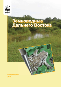 Земноводные Дальнего Востока: Справочник для таможни
