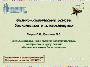 Физико-химические основы биокатализа: презентация