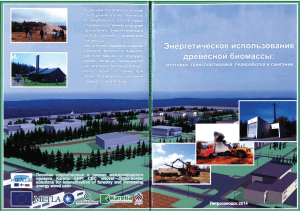 Энергетическое использование древесной биомассы