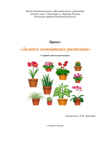 Проект «Загадки комнатных растений» для дошкольников
