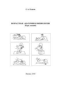 Краткий курс анатомии и физиологии детей и подростков