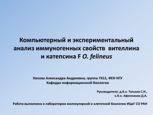 Иммуногенность вителлина и катепсина F O. felineus