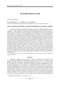 Поликистоз почек у кошек: возрастные и породные аспекты