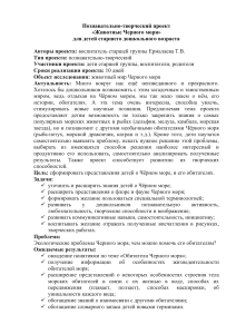 Животные Черного моря: проект для дошкольников