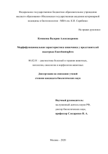Морфофункциональная характеристика кишечника Euarchontoglires
