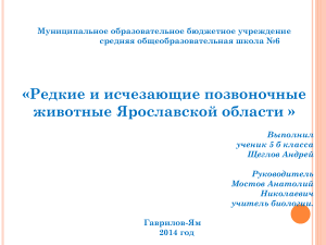 Редкие животные Ярославской области: презентация