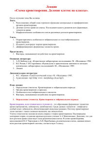 Схема кроветворения: лекция по гематологии