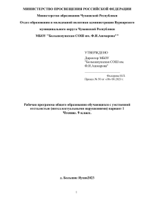 Рабочая программа Чтение 9 класс (ОВЗ)