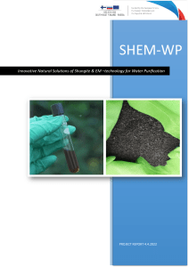 Shungite & EM Water Purification Project Report