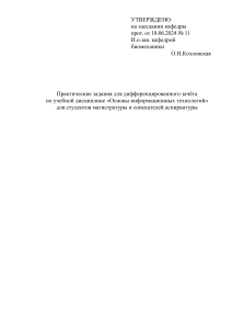 Практические задания по информационным технологиям