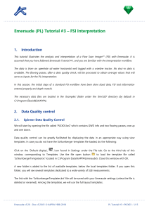 Emeraude FSI Interpretation Tutorial