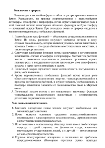 Почва и горные породы: роль в природе и жизни