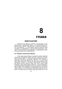 Животный мир Беларуси: охотничья фауна и ресурсы