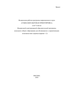 Социально-бытовая ориентировка: программа коррекционного курса
