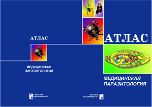 Медицинская паразитология: Атлас