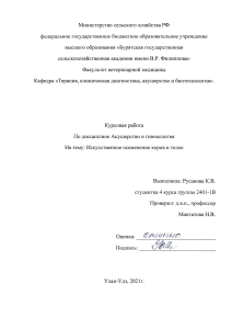 Искусственное осеменение коров: курсовая работа