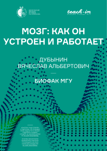 Мозг: устройство и работа - конспект лекций