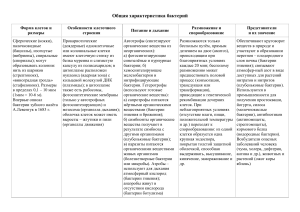 Общая характеристика бактерий: форма, строение, питание