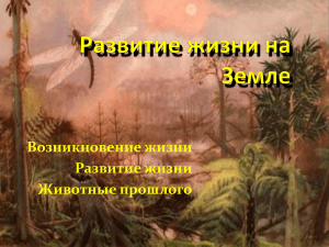 Развитие жизни на Земле: презентация по биологии