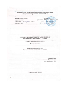 Образовательная программа по бисероплетению для средней школы