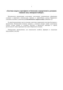 Защита картофеля в Сибири: болезни и вредители