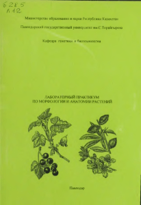 Морфология и анатомия растений: Лабораторный практикум