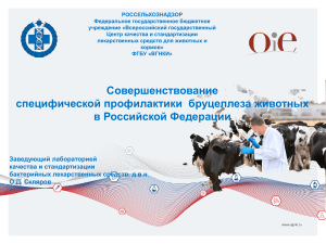Профилактика бруцеллеза животных в РФ: вакцины и эпизоотология
