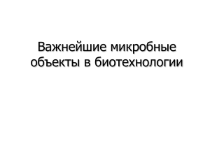 Микробные объекты в биотехнологии: презентация