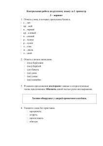 Контрольная работа по русскому языку, 2 вариант