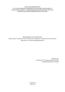 Биология: Сравнение клеток растений и животных