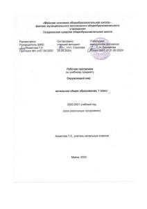 Рабочая программа Окружающий мир 1 класс