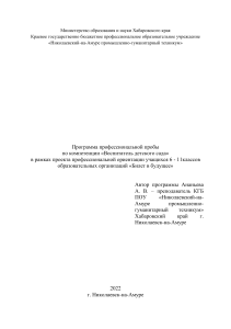 Программа профпробы "Воспитатель детского сада"