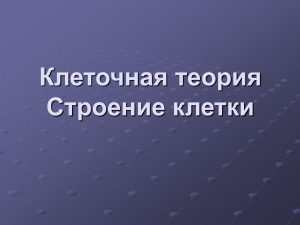 Клеточная теория и строение клетки: презентация
