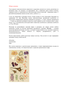 Строение клетки: Общие сведения и компоненты