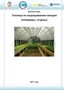 Бизнес-план теплицы: помидоры, огурцы