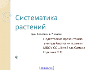 Систематика растений: презентация для 7 класса