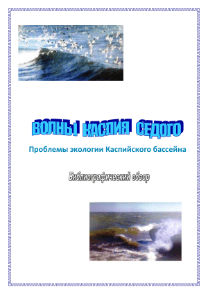 Экология Каспийского бассейна: проблемы и решения