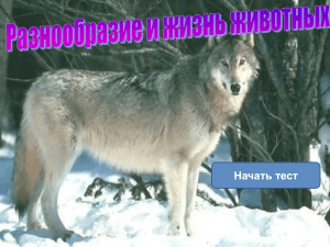 Тест по зоологии для средней школы