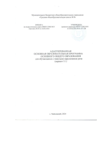 Адаптированная программа для детей с ТНР (вариант 5.1)