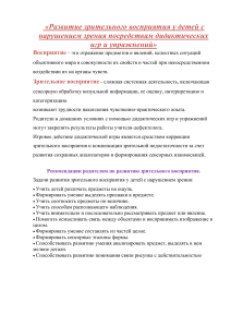 Развитие зрительного восприятия у детей с нарушениями зрения