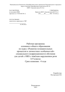 Рабочая программа развития познавательных процессов ОВЗ 6-9 класс